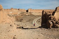 IMG_5953