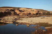 IMG_5982