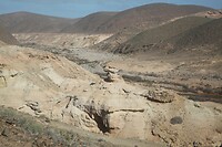 IMG_5992