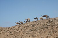 IMG_6044