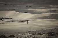 IMG_6045