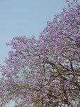 DSCN6320