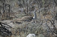 IMG_3047