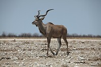 IMG_3084