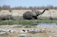 IMG_5566