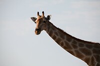 IMG_5573