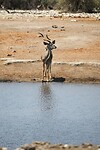 IMG_5626