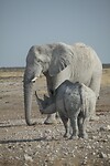 IMG_5712