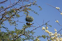 IMG_5743