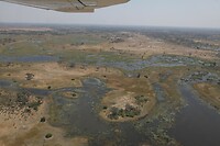 IMG_5918