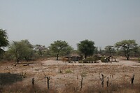 IMG_6018