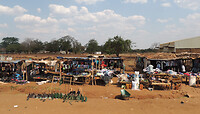 dscn6568