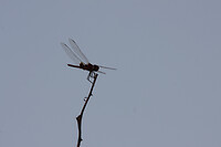 img_3033