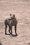 img_3084