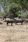img_6279