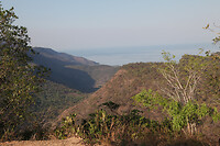img_6360
