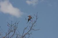 img_6384