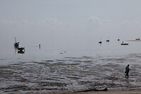 img_6655
