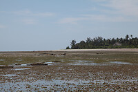 img_6725