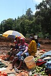 img_6817