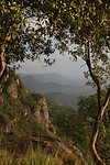 img_6916