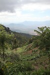 img_7067