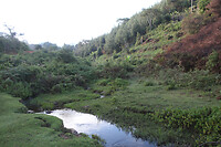 img_7191