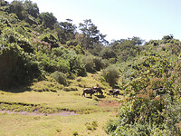 dscn7688_0