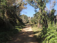 dscn7692_0