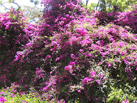 dscn7721_0