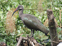 dscn7732_0