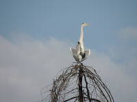 dscn7760_0