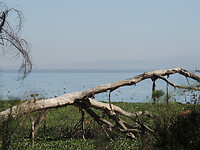 dscn7781_0