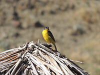 dscn7795_0