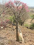 dscn7849_0