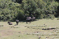 img_6546_0