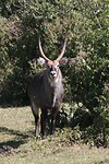 img_6556_0