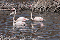 img_6583_0