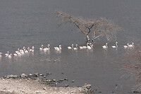 img_6605_0