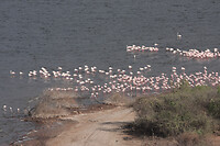 img_6616_0
