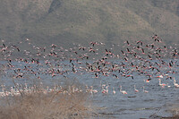 img_6622_0