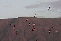 img_6629_0