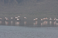 img_6641_0