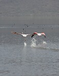 img_6646_0