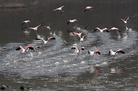 img_6666_0