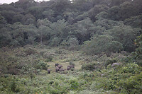 img_7292_0