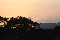 img_7344_0