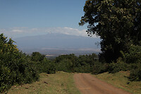 img_7373_0