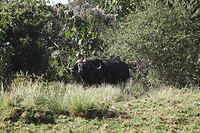 img_7389