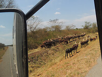 dscn7877_0